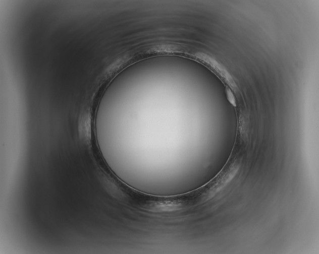 X0000102260445200807251332