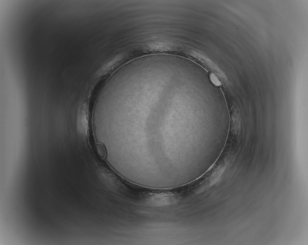 X0000102260446200807251332