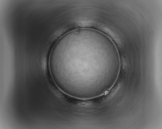 X0000102260447200807251332