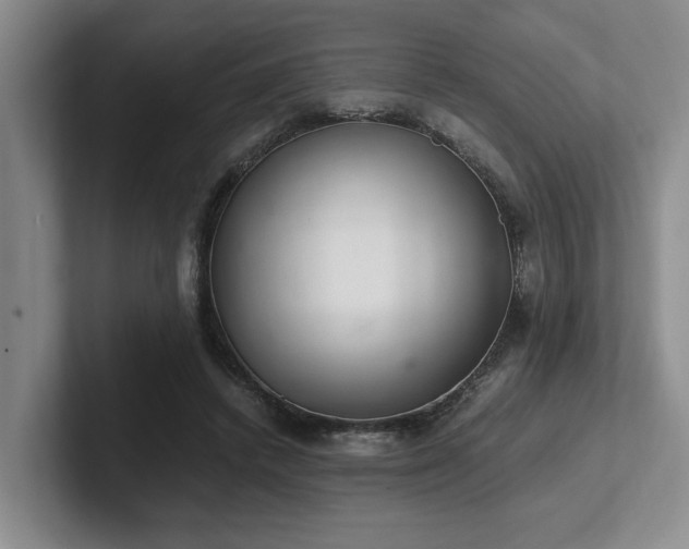 X0000102260448200807251333