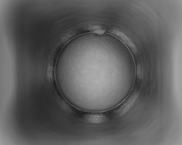 X0000102260449200807251333