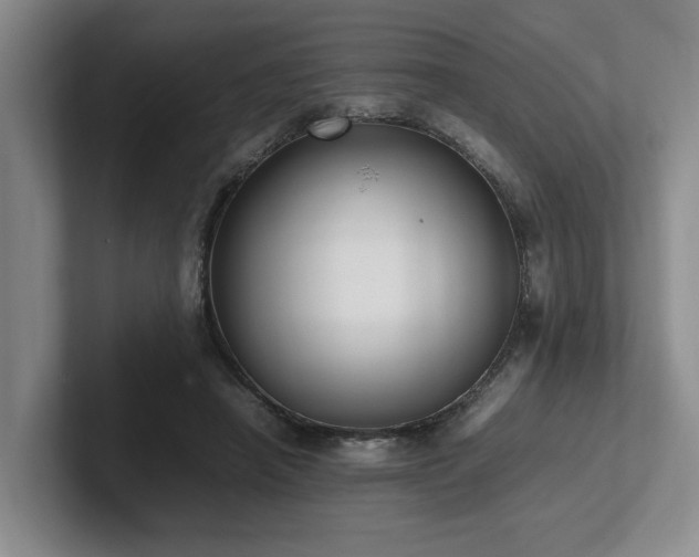 X0000102260450200807251333