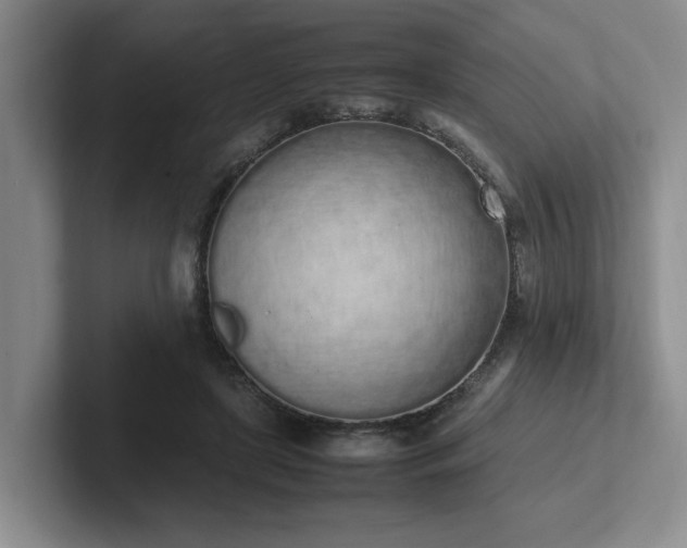 X0000102260451200807251333