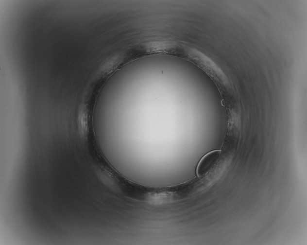 X0000102260452200807251333