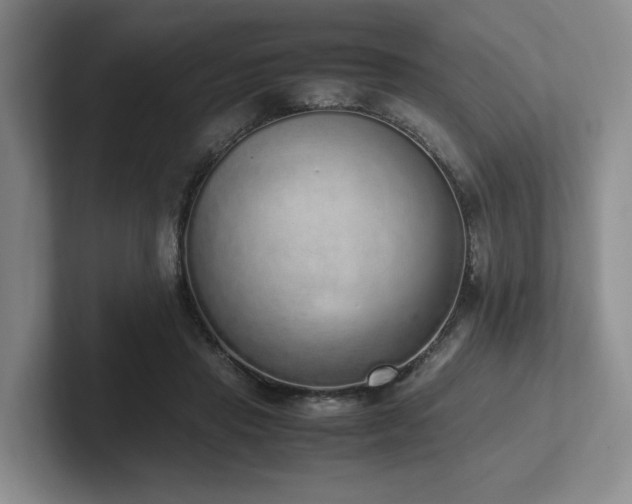 X0000102260453200807251333