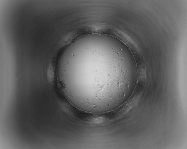 X0000102260456200807251333