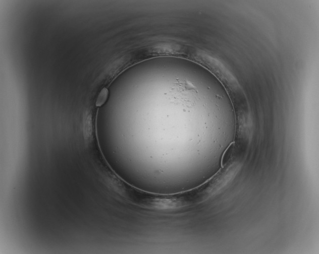 X0000102260457200807251333