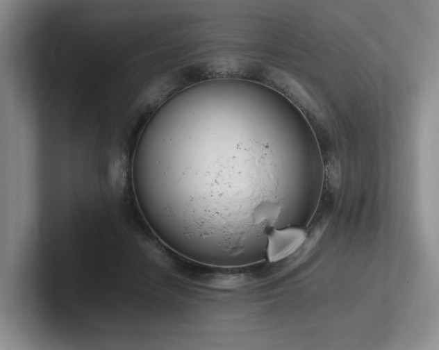 X0000102260458200807251333