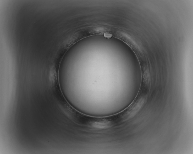 X0000102260459200807251333