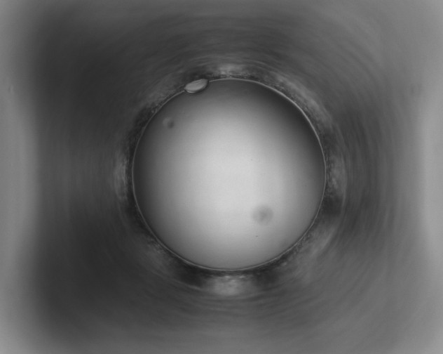 X0000102260461200807251333