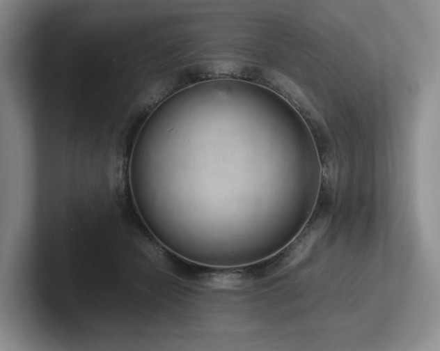 X0000102260462200807251333