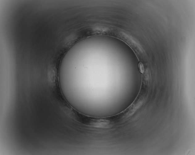 X0000102260463200807251333