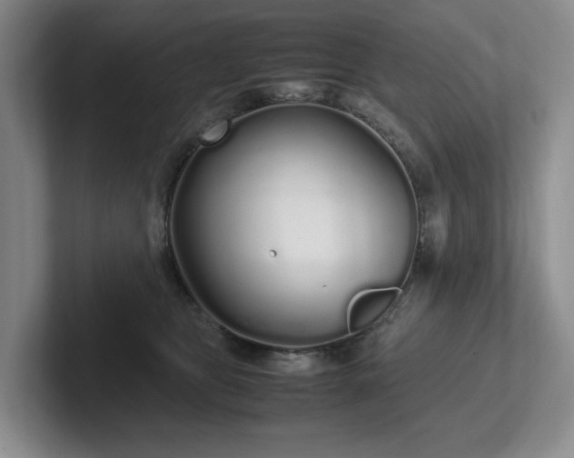 X0000102260469200807251333