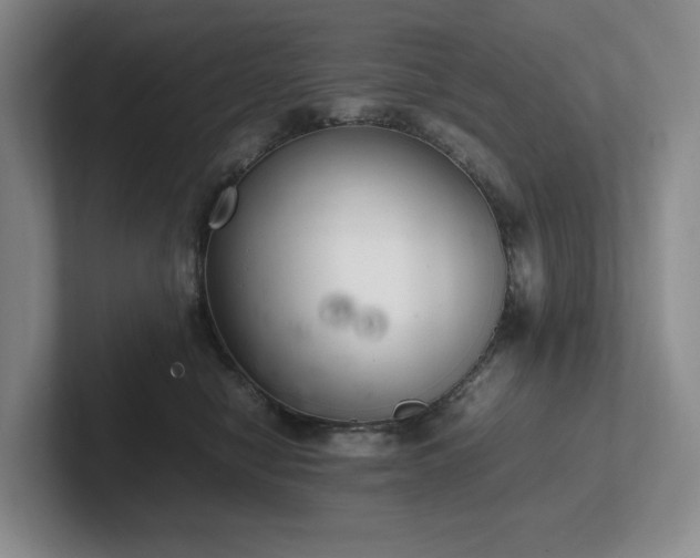 X0000102260470200807251333