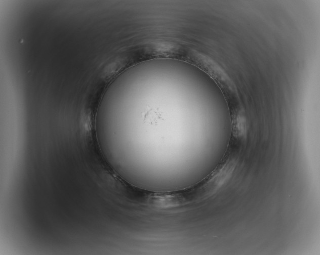 X0000102260472200807251333