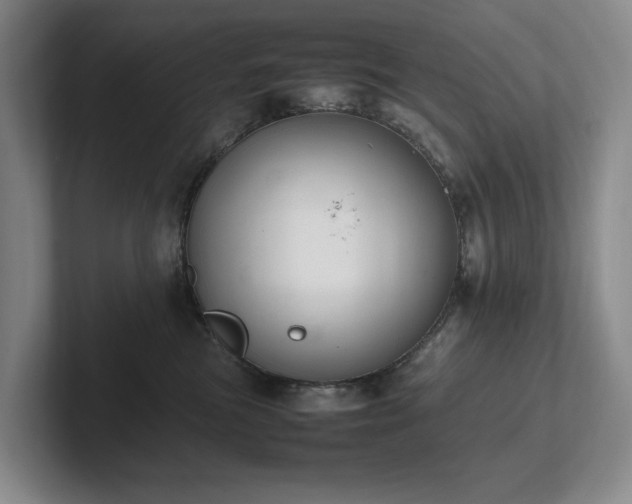 X0000102260473200807251333