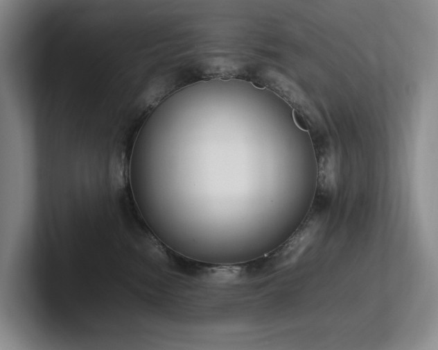 X0000102260474200807251333