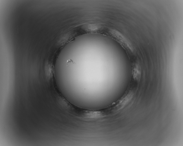 X0000102260476200807251333