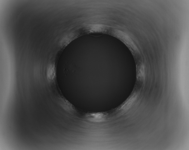 X0000102260478200807251333