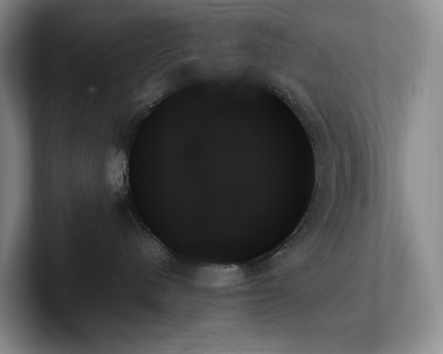 X0000102260480200807251333