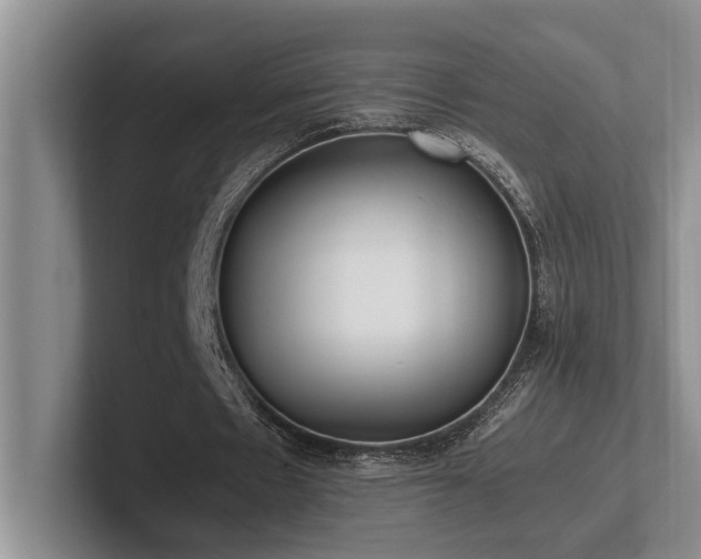 X0000102260481200807251332