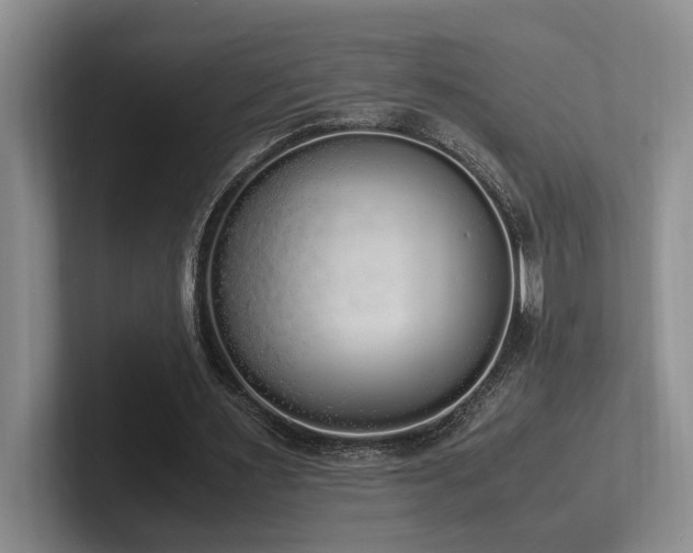 X0000102260483200807251332