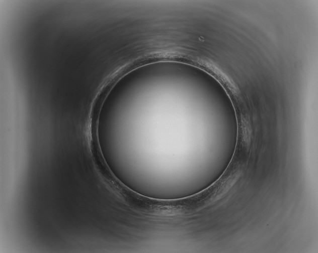 X0000102260486200807251332