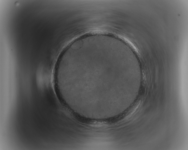 X0000102260487200807251332