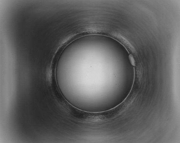 X0000102260488200807251332