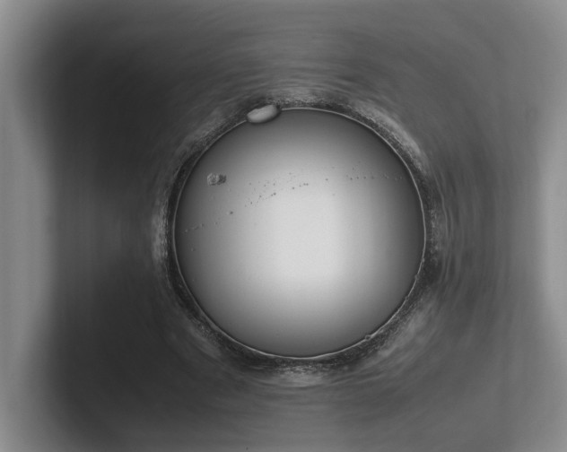 X0000102260489200807251332