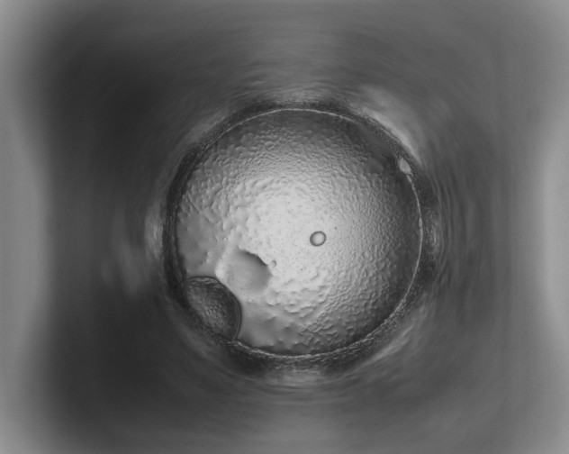 X0000102260491200807251332