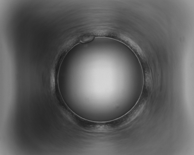 X0000102260493200807251332