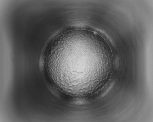 X0000102260495200807251332