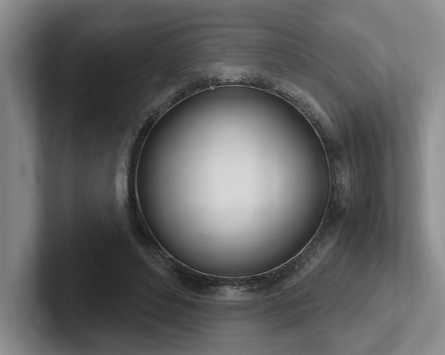 X0000102260496200807251332