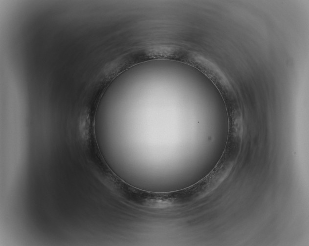 X0000102260498200807251332