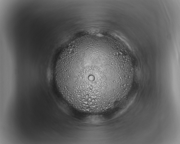 X0000102260499200807251332