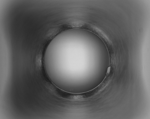 X0000102260501200807251332