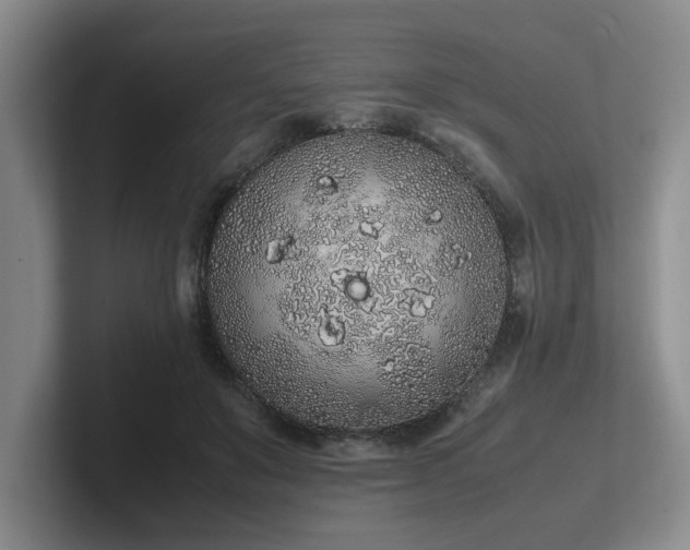 X0000102260503200807251332