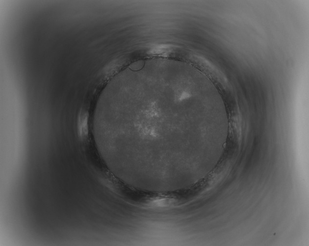 X0000102260504200807251332