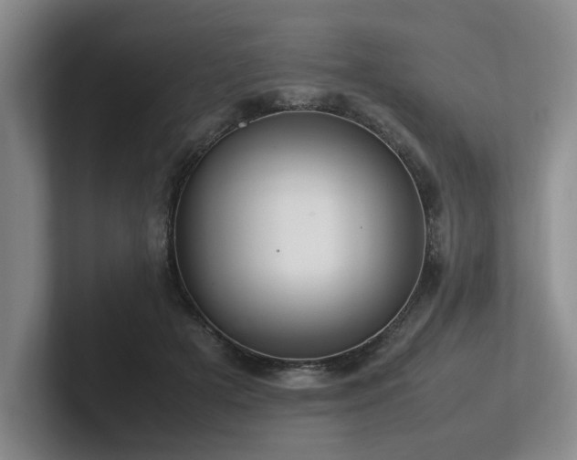 X0000102260505200807251332