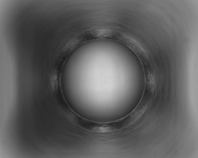 X0000102260506200807251332