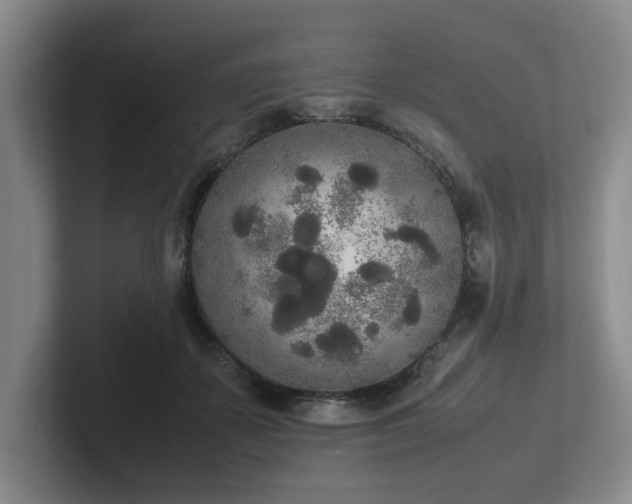 X0000102260507200807251332