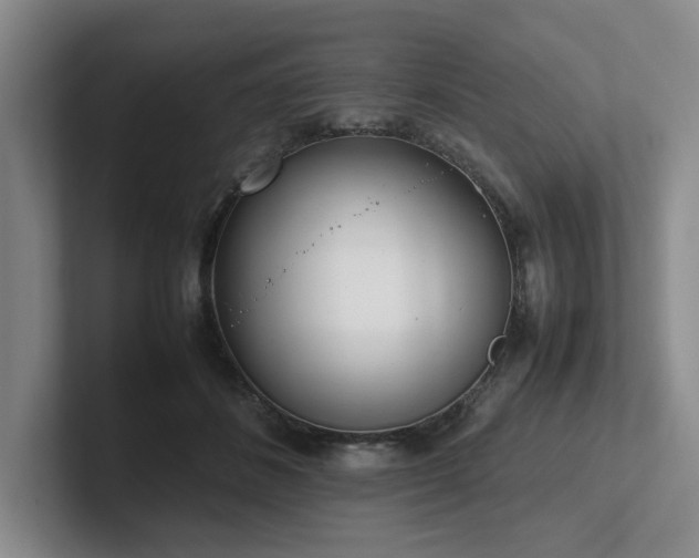 X0000102260508200807251332