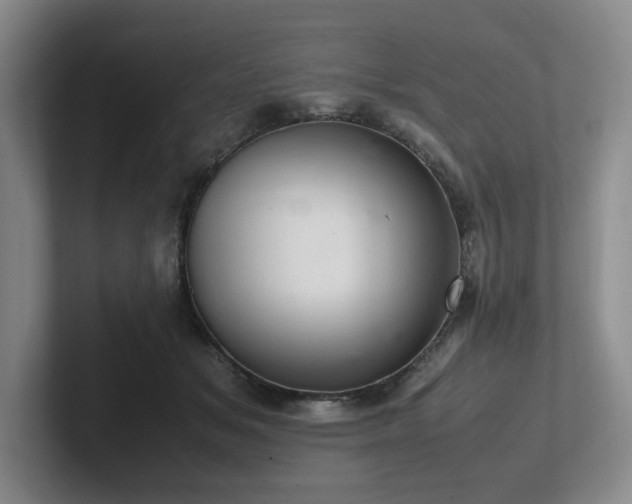 X0000102260509200807251332