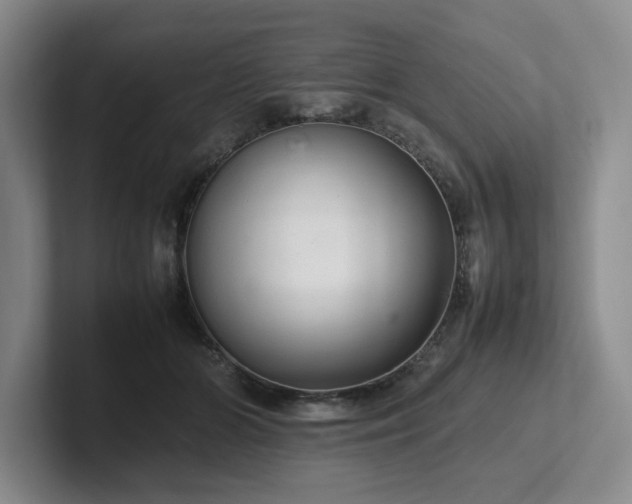 X0000102260510200807251332