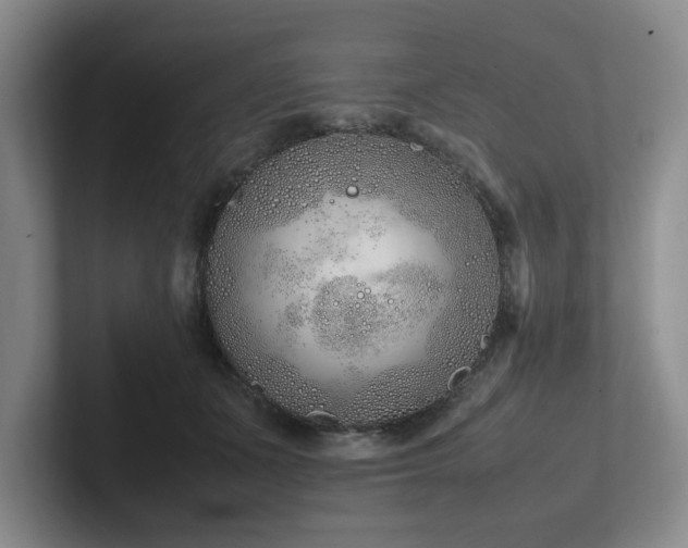 X0000102260511200807251332