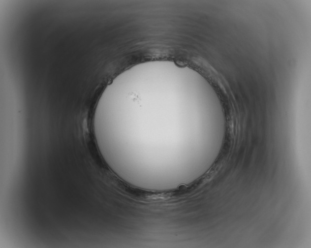 X0000102260516200807251332