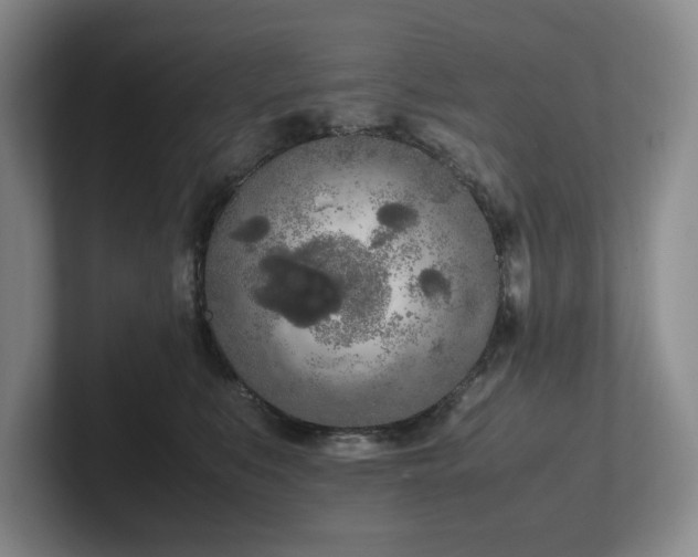 X0000102260519200807251332