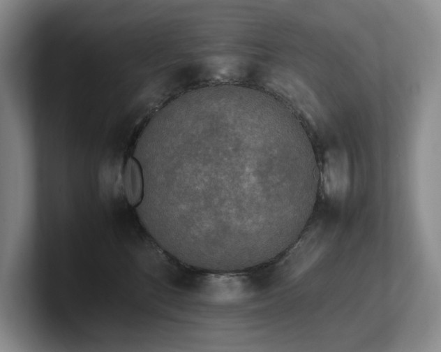 X0000102260520200807251332