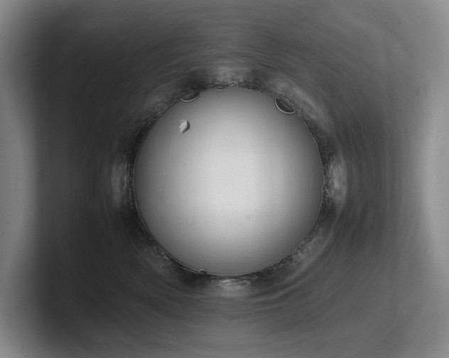 X0000102260522200807251332